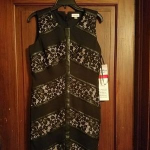 Calvin  Klein black and lace dress.